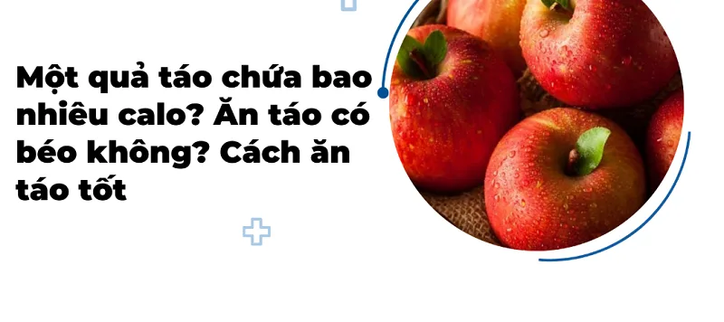 Ăn táo có tác dụng gì đối với sức khỏe?
